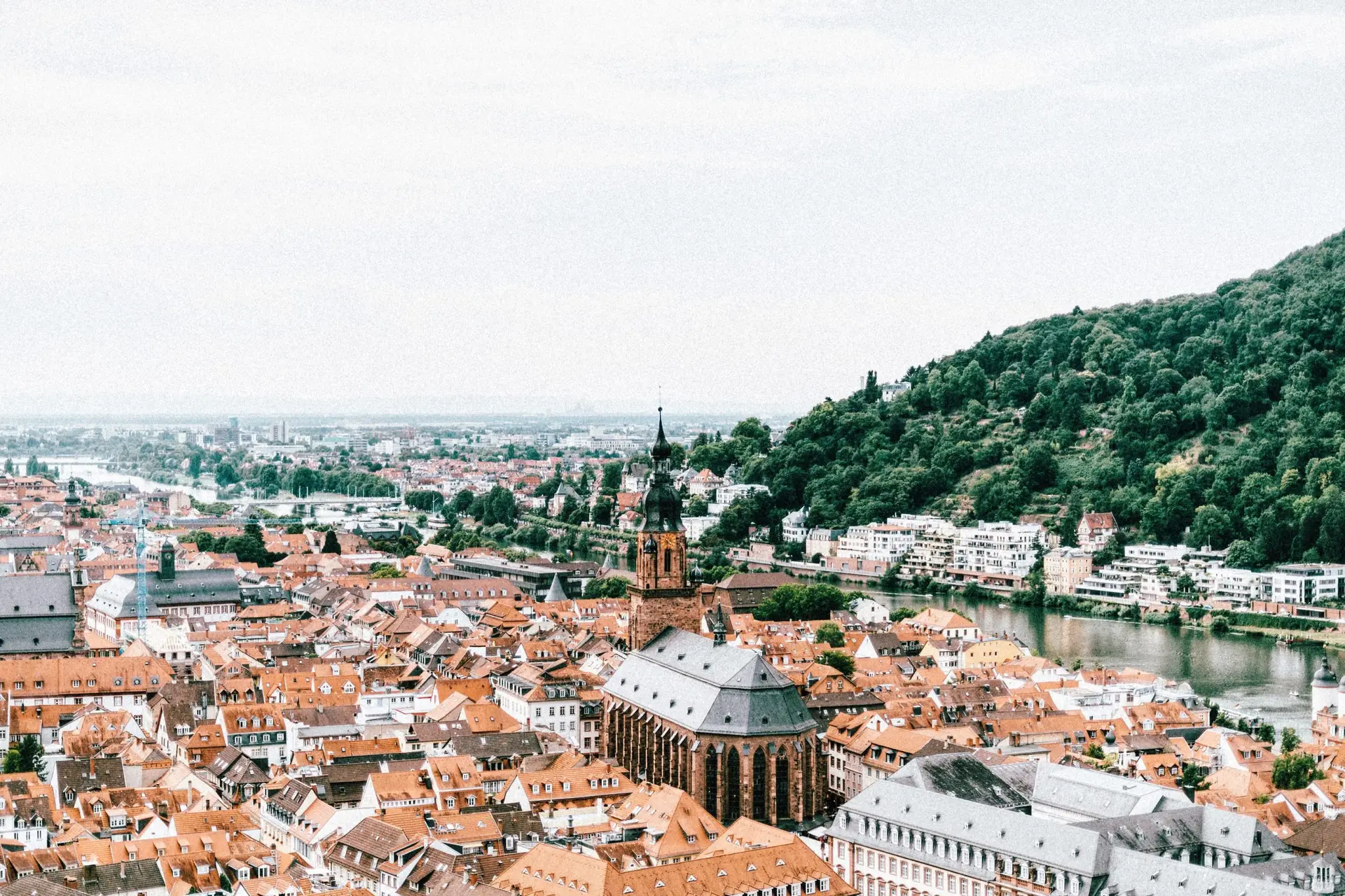 roman-kraft-Yfo3qWK2pjY-unsplash (1)