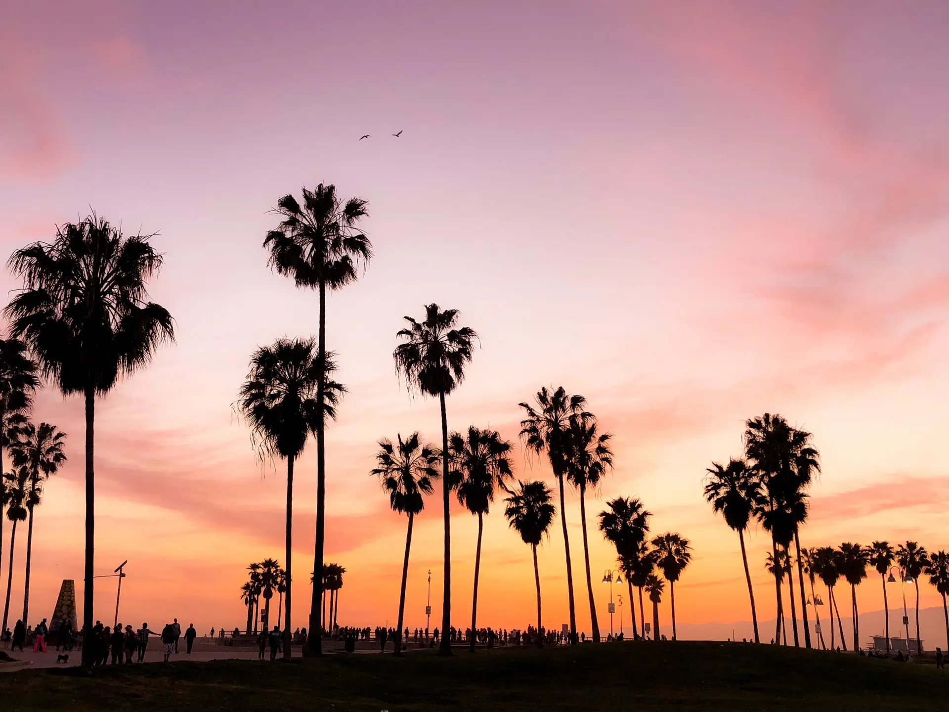 viviana-rishe-UC8fvOyG5pU-unsplash
