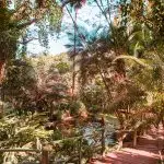 2,000+ types of orchids, plus many native plants, in a tranquil setting with paths & picnic areas