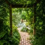 UBC Botanical Garden is Canada’s oldest university botanic garden. As stewards of plant and biodiversity conservation, their tours are rooted in themes of science, biocultural diversity and experiential outdoor education