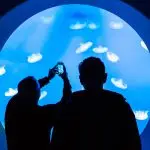 The largest aquarium in Canada and one of the five largest in North America!